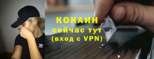 СК Пересвет