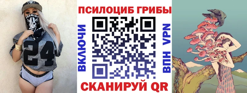 Галлюциногенные грибы Psilocybe  Котлас 