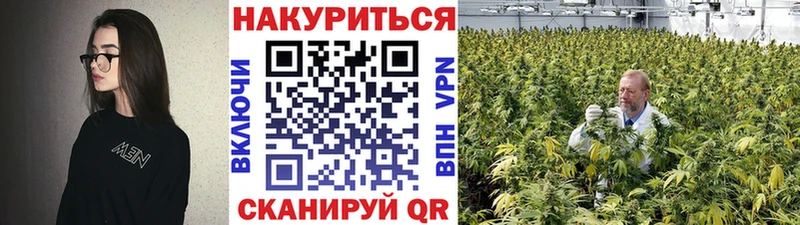 Бошки Шишки Amnesia  закладка  kraken ссылки  Котлас 